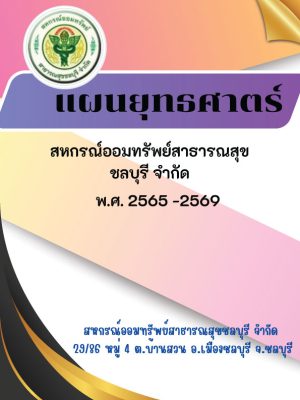ปกแผนยุทธศาสตร์
